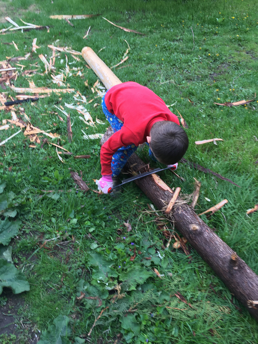 To Asher, The Best Little Digger I Know